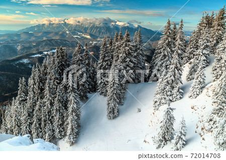Spectacular snowy winter landscape,Poiana Brasov,Carpathians,Transylvania,Romania,Europe 72014708