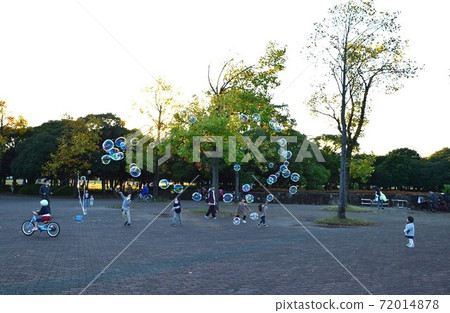 沙本球 沙本球 72014878