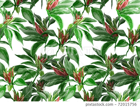Continuous background pattern of pepper Continuous background pattern of pepper 72015756