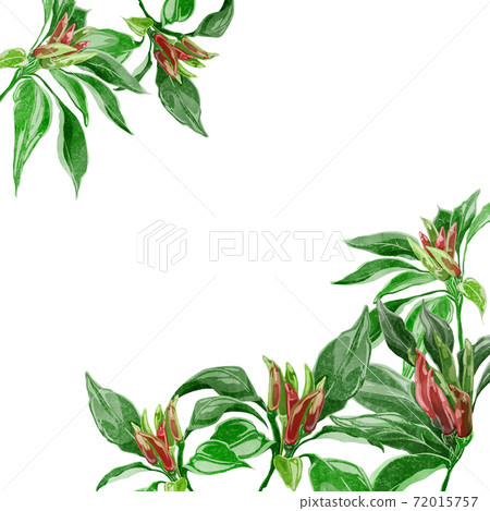 Watercolor hand-painted background frame of pepper Watercolor hand-painted background frame of pepper 72015757