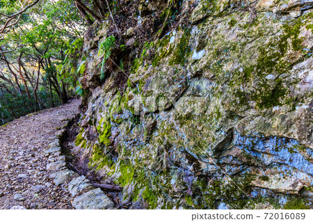 金田城遺址[長崎縣津島市] 72016089