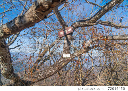 Summit of Mt. Soma (Lake Haruna) Summit of Mt. Soma (Lake Haruna) 72016450