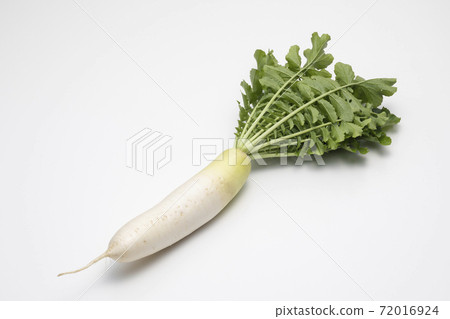 Leaves with radishes 72016924