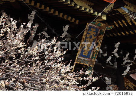Kitano Tenman-gu's Sanko gate and plum blossoms Kitano Tenman-gu's Sanko gate and plum blossoms 72016952
