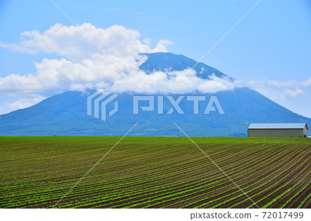 Hokkaido foothills 72017499