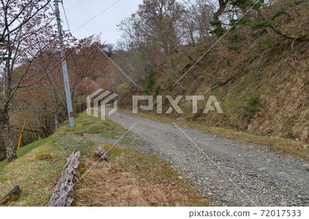 Mt. Tsurugi Super Forest Road 72017533