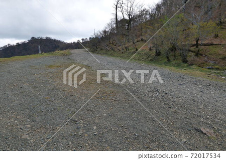 Mt. Tsurugi Super Forest Road 72017534