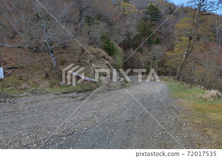 Mt. Tsurugi Super Forest Road 72017535