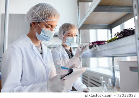 Scientists Studying Plants in Bio Laboratory 72018058