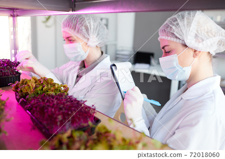 Two Female Scientists Studying Plants in Bio Laboratory 72018060