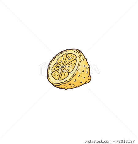 Vector illustration of a cut lemon a line vector isolated illustration 72018157
