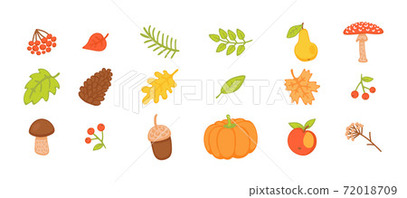 Autumn collection with leaves and mushrooms... - Stock Illustration ...