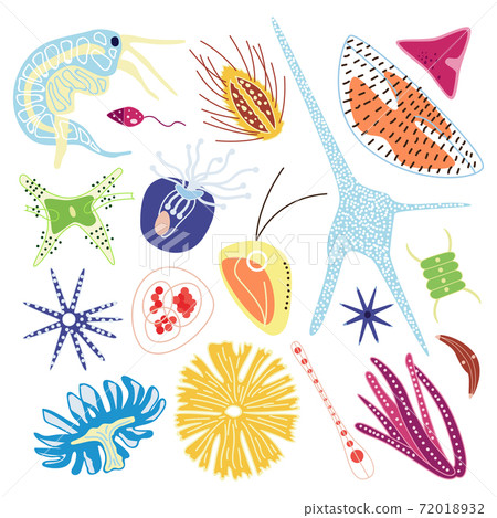 Microorganisms of marine plankton set of flat vector illustrations isolated . Microorganisms of marine plankton set of flat vector illustrations isolated . 72018932