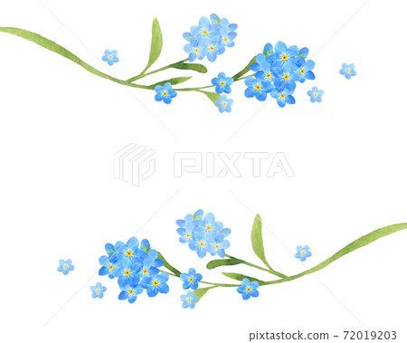 Watercolor forget-me-not frame 72019203