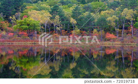 秋葉倒映在水面上 72019718