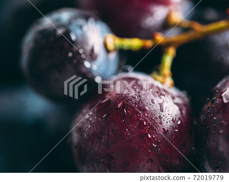 dark grape with water drops close up dark grape with water drops close up 72019779