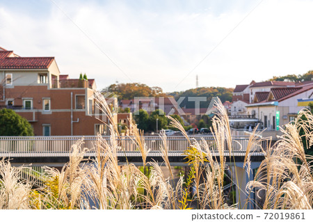 Overpass footbridge connecting residential areas in the valley 72019861