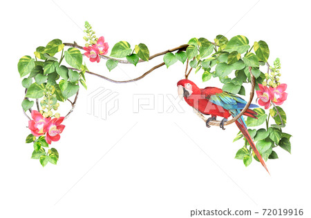 Ara parrot sits on a liane among tropical leaves Ara parrot sits on a liane among tropical leaves 72019916