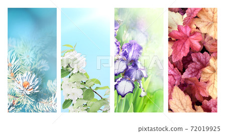 Four seasons of year Four seasons of year 72019925