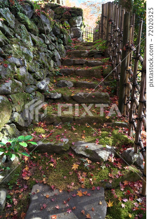 山路與落葉 72020325