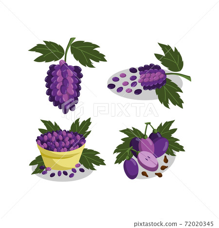 Grape bunches Fruit and leaves illustration Set 72020345