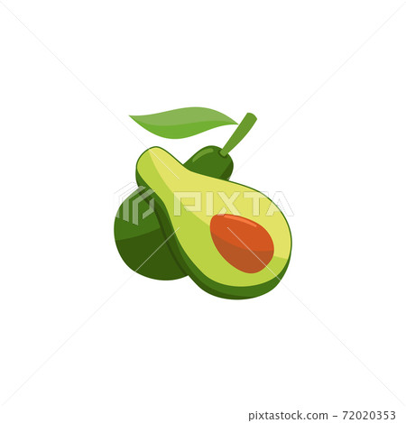 Avocado Flat part Design Fruit Illustration Sign 72020353