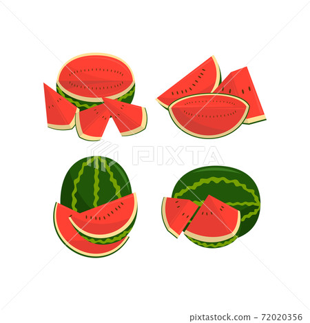 Watermelon Fruit and pieces Illustration Set 72020356