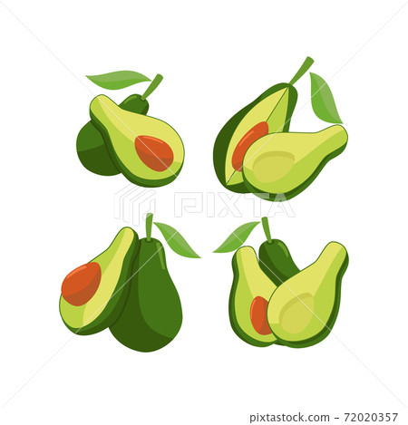 Avocado Flat Design Fruit Illustration Sign Set 72020357