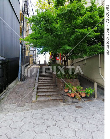 Gentle old stone steps and roadside trees in the alleys of the slope. The road surface in the foreground has a honeycomb pattern Gentle old stone steps and roadside trees in the alleys of the slope. The road surface in the foreground has a honeycomb pattern 72020993