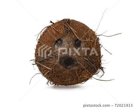 Coconut on white background 72021913