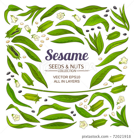 sesame elements set 72021918