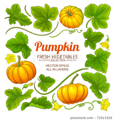 pumpkin elements set pumpkin elements set 72021926