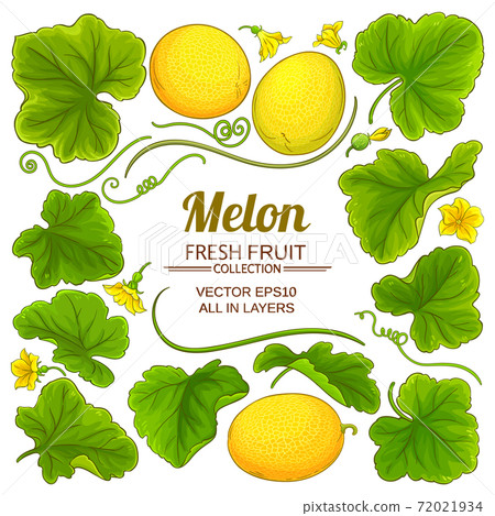 melon elements set 72021934