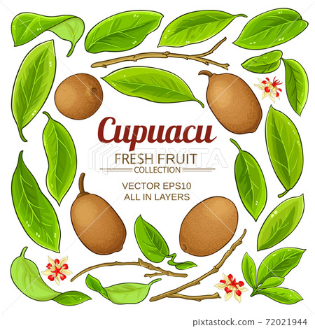 cupuacu elements set 72021944