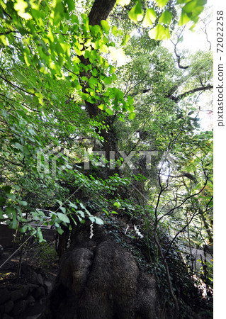 熱海“宮宮神社”牌坊 72022258