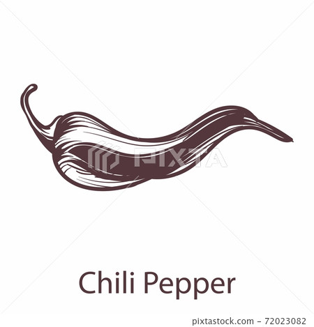 Chili pepper. Detailed organic product sketch, fresh organic vegetable in engraving style, hot pepper icon, spicy cooking symbol for restaurant or cafe menu. Vector isolated element Chili pepper. Detailed organic product sketch, fresh organic vegetable in engraving style, hot pepper icon, spicy cooking symbol for restaurant or cafe menu. Vector isolated element 72023082