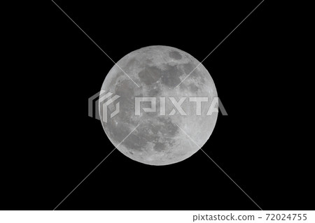 滿月海狸月亮[11月] 72024755