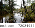  Wetland 72024934