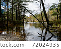 Kamikochi moor 72024935