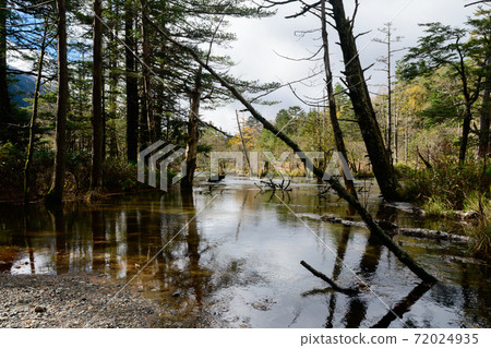 Kamikochi moor 72024935