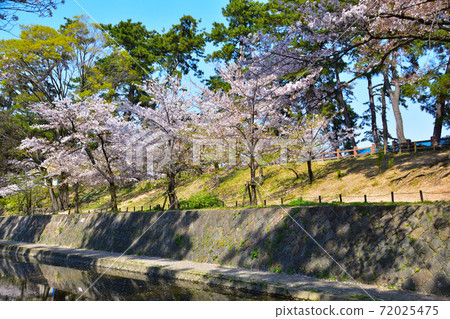 Sakura view Shukugawa Sakura view Shukugawa 72025475