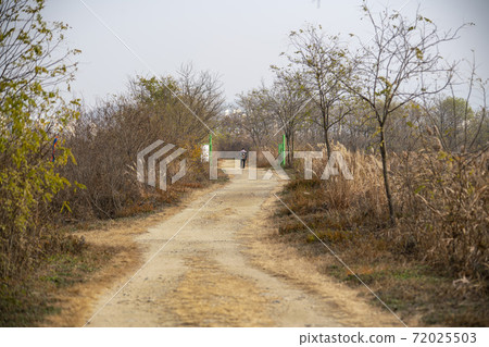 Siheung Tidal-Ecological Park, Siheung City, Gyeonggi-do Siheung Tidal-Ecological Park, Siheung City, Gyeonggi-do 72025503