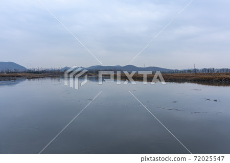 京畿道始興市始興潮汐生態園 72025547