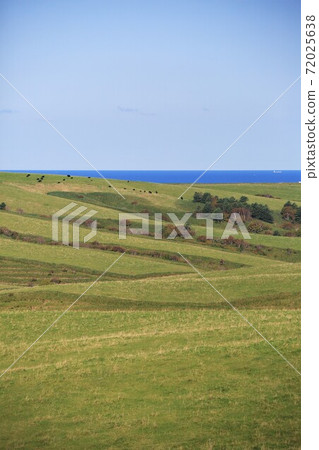 Scenery of Hokkaido "Soya Hills" (Wakkanai City, Hokkaido) 72025638