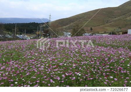 Kumamoto Prefecture Nishihara Village Road Station, 72026677