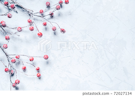Christmas background of snow-covered branches with berries. Christmas background of snow-covered branches with berries. 72027134