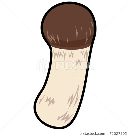 1 matsutake mushroom Cut illustration Material / Matsutake / Matsutake 1 matsutake mushroom Cut illustration Material / Matsutake / Matsutake 72027205