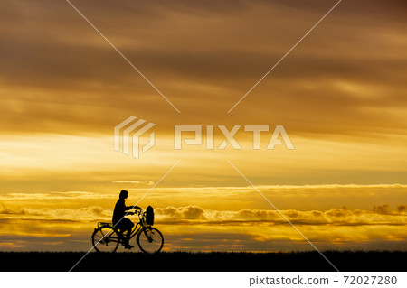Silhouette of a female student who goes to school by bicycle against the backdrop of the setting sun Silhouette of a female student who goes to school by bicycle against the backdrop of the setting sun 72027280