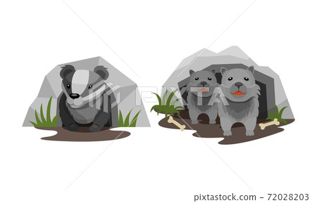 Cute Forest Animals Peepped Out From Their Burrows Vector Set Cute Forest Animals Peepped Out From Their Burrows Vector Set 72028203