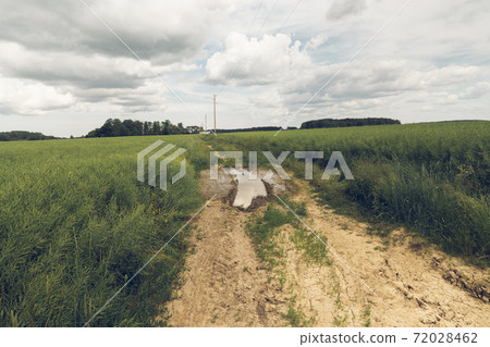 Dirt road between agricultural fields of Latvia. Dirt road between agricultural fields of Latvia. 72028462